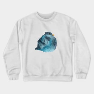 A Fat Pigeon Crewneck Sweatshirt